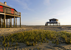 Les Cabanes Tchanquées