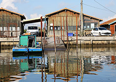 Le port ostréicole