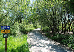 Les Prés Salés Ouest