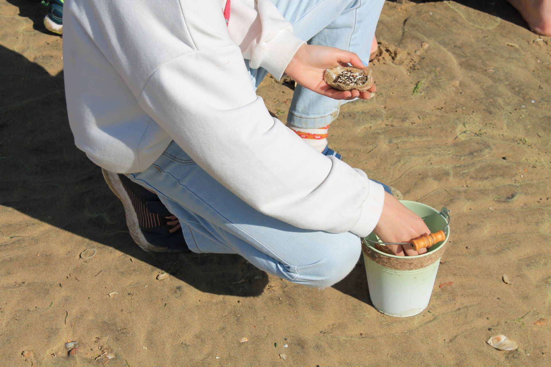 Coquillages La Teste de Buch