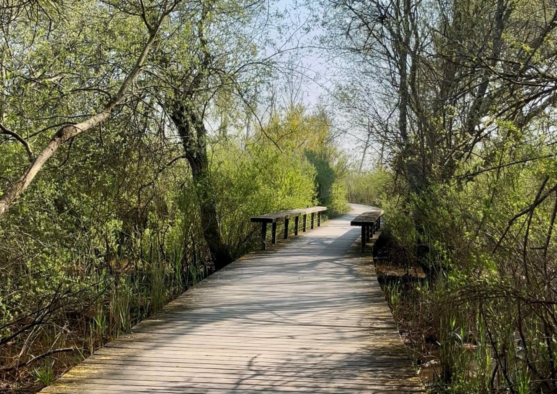 Prés Salés La Teste de Buch